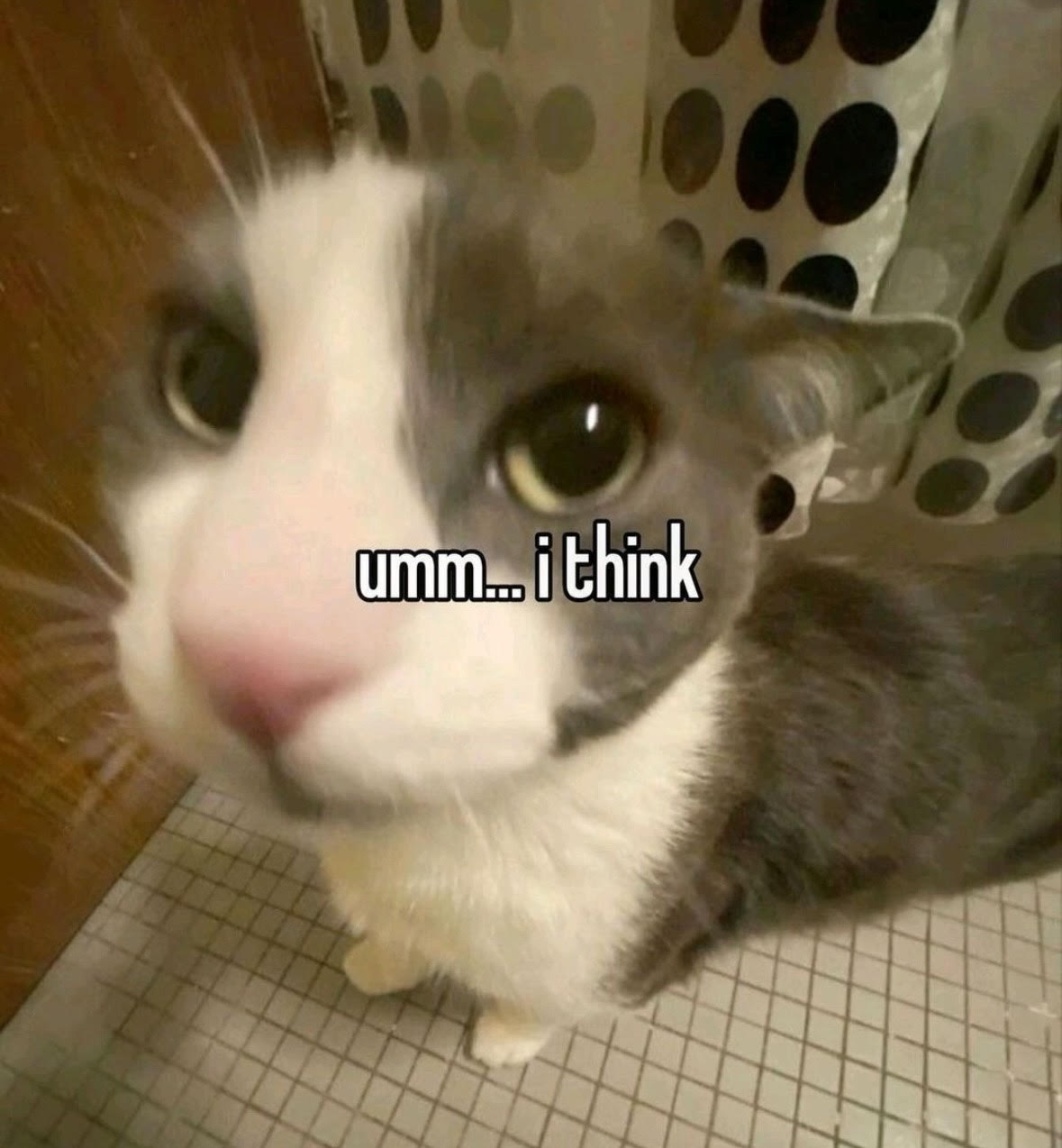 umm... i think